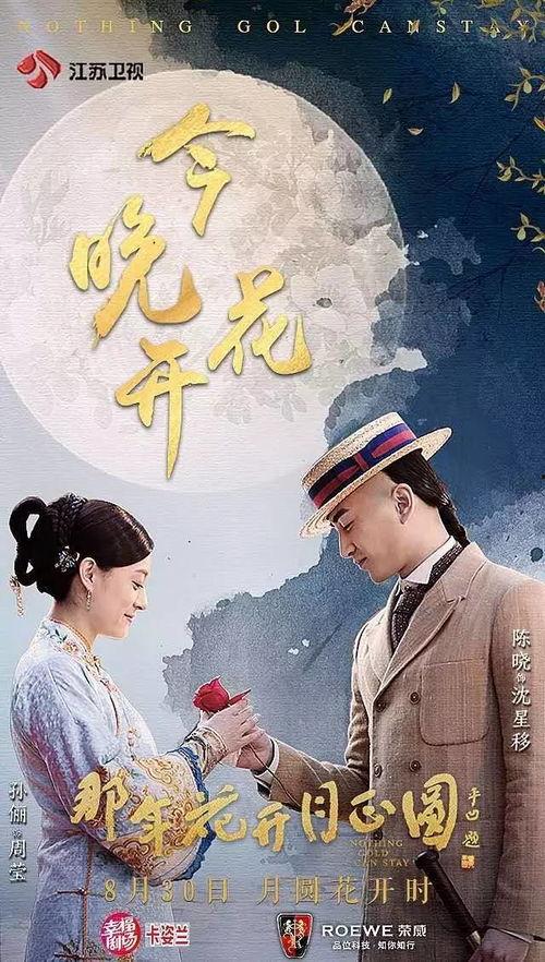 那花开月正圆在线播放,穿越时空的浪漫传奇