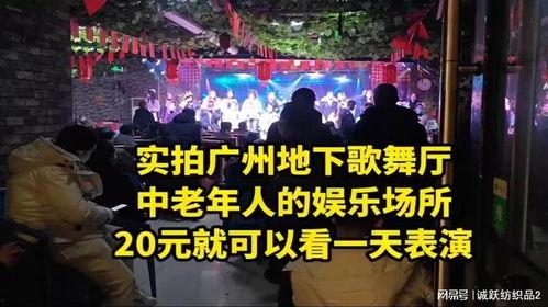 地下歌舞厅视频网,暗流涌动的娱乐世界