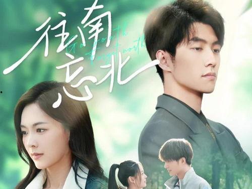 电视剧免费观看韩剧,解锁追剧新体验