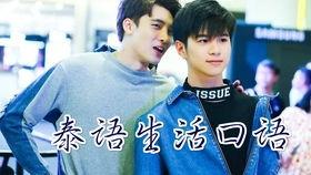 为了你泰语免费观看,探索泰语免费观看的无限可能