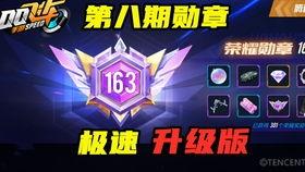 手游飞车最新勋章爆料,揭秘手游最新勋章爆料，速度与激情再升级！