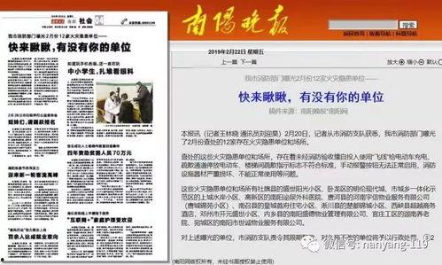 南阳新闻爆料怎么弄,聚焦热点事件，深度解析社会现象
